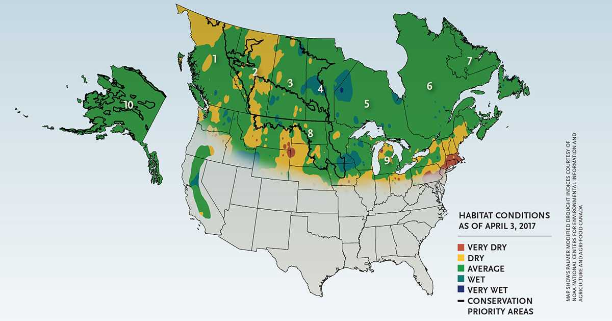 2017 late spring map